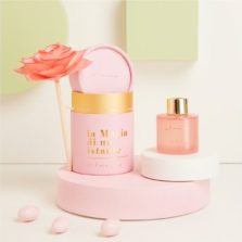 Diffusore piccolo rosa con fiore-Claraluna-25151F